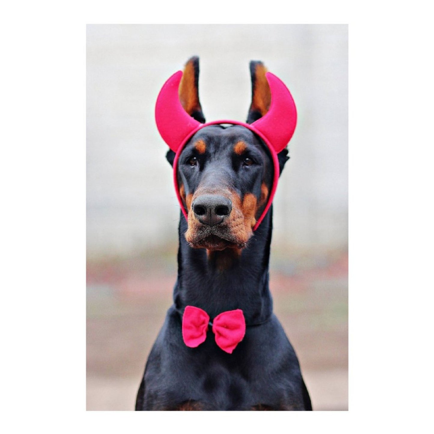 Diamond Painting (Diamanti Quadrati) | Trasforma il Tuo Ritratto in un Mosaico