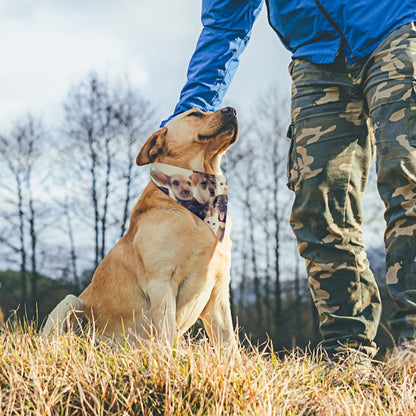 Bandana Triangolare per Animali in Poliestere Personalizzata
