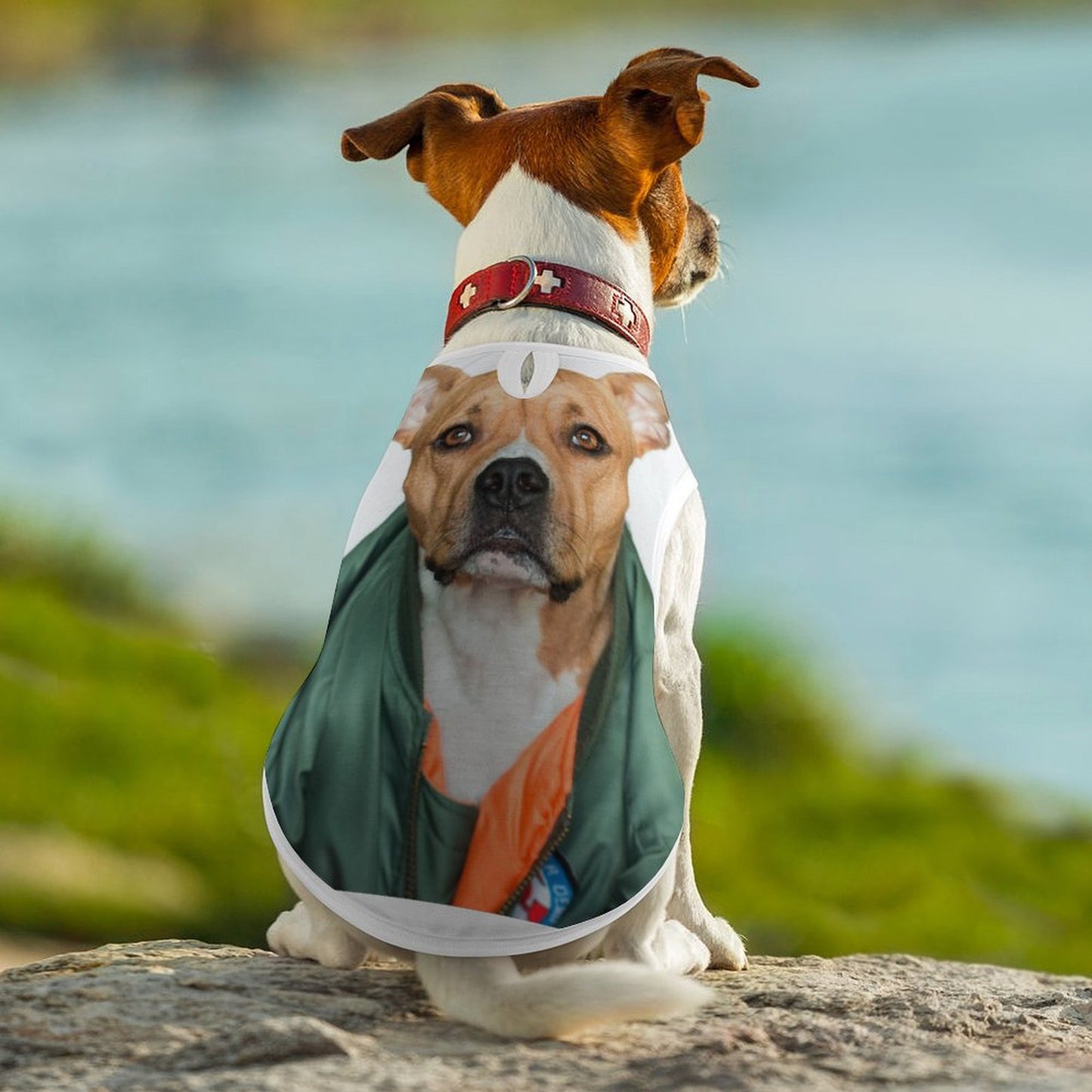 Canotta per Cani Personalizzata | Stampa la Sua Personalità Unica