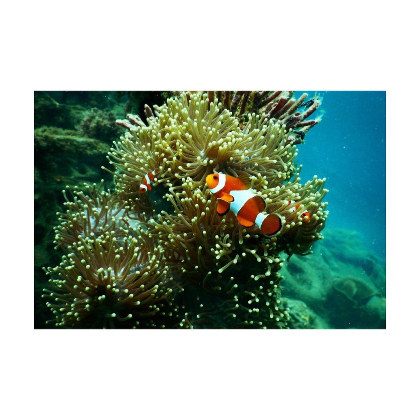 Diamond Painting Personalizzato (Diamanti Rotondi) | Illumina la Tua Foto