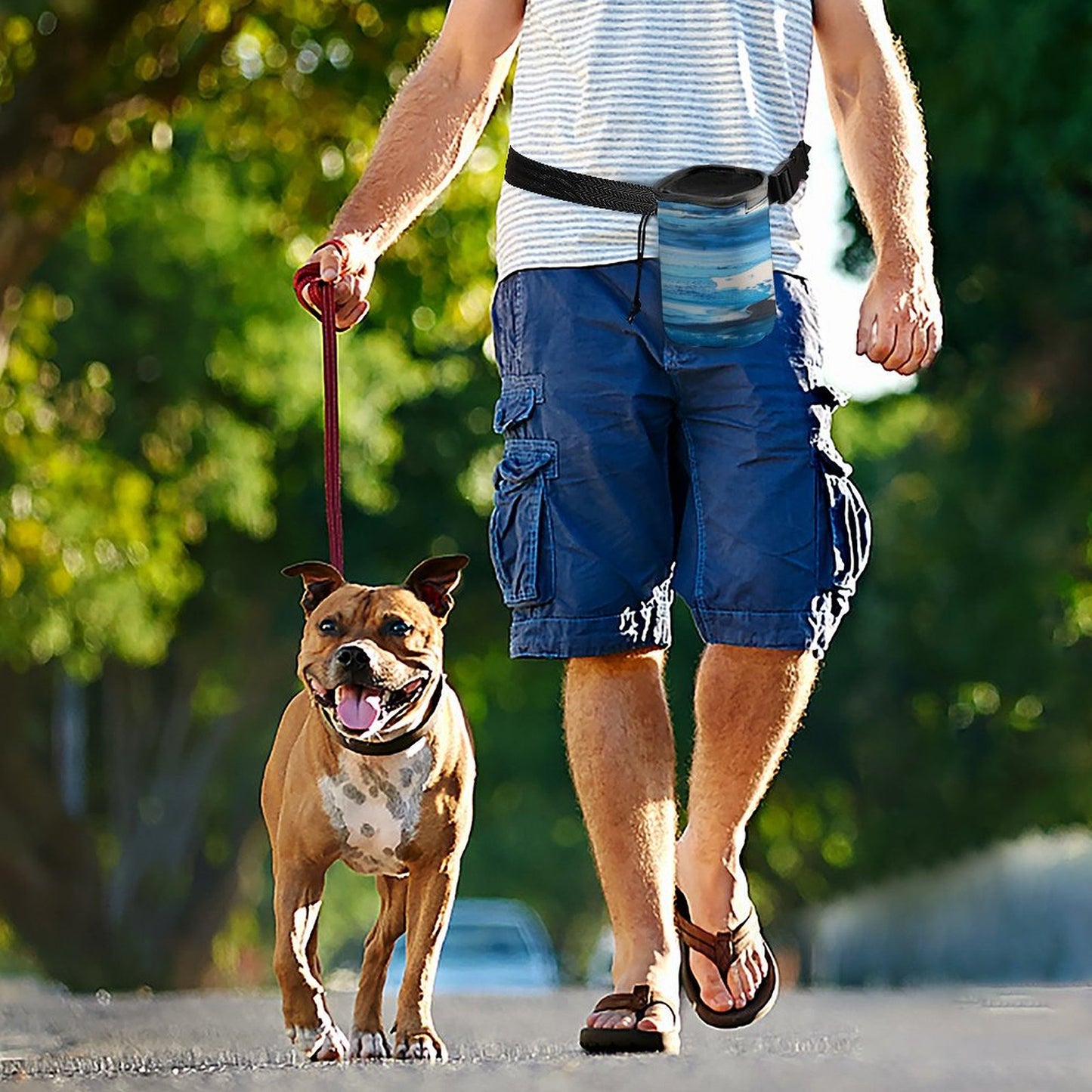 Borsa da Addestramento per Cani Personalizzata | Ricompensa Istantanea