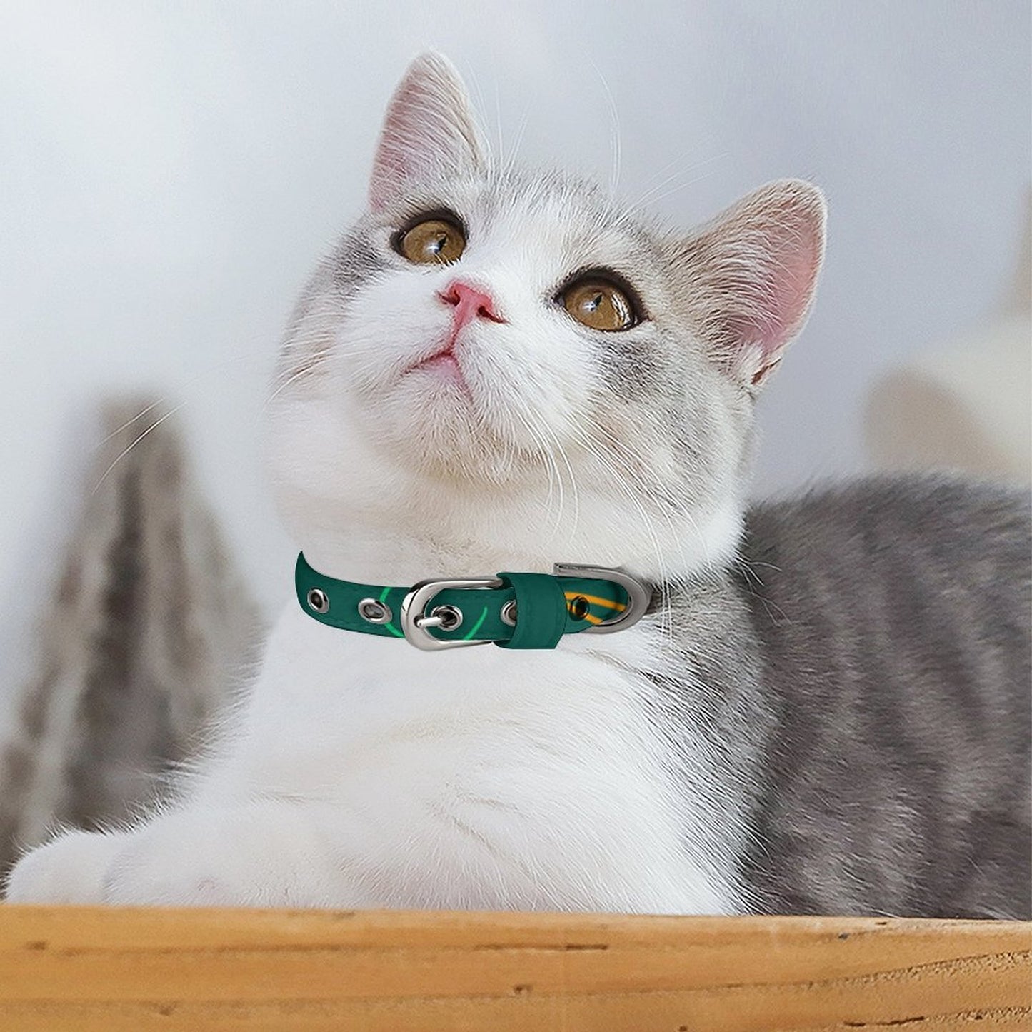 Collare Personalizzato per Cani in Tessuto Oxford | Accessorio Regolabile per Cuccioli e Taglie Piccole